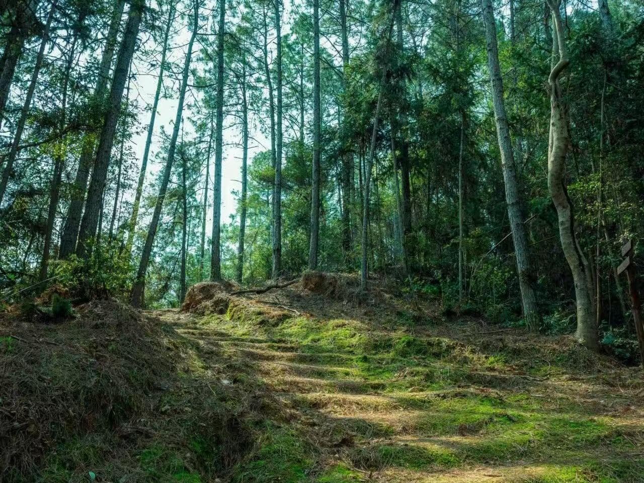 Mountain Trail
