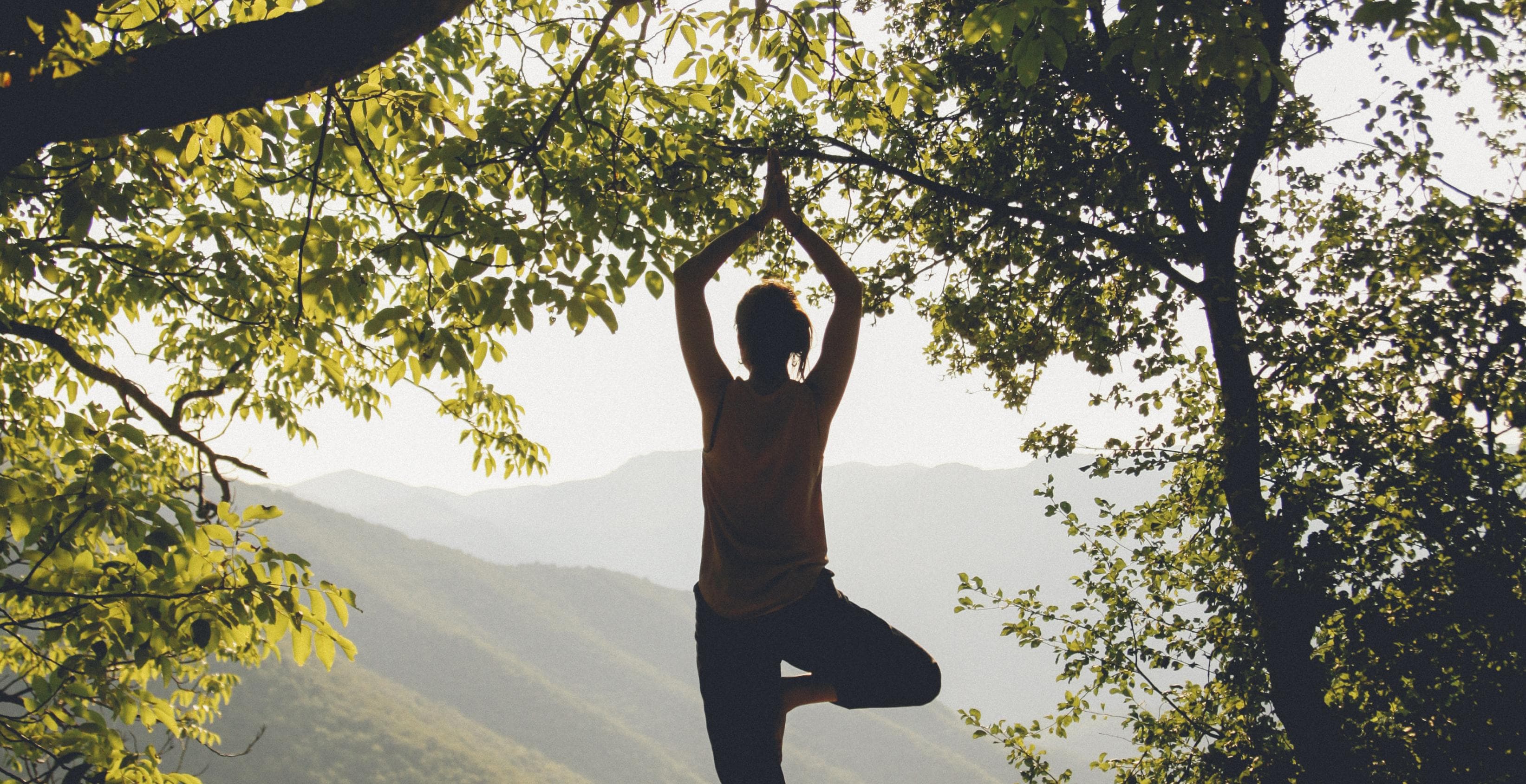 Tree Pose